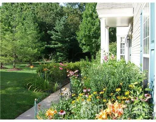 a view of a garden with plants and flowers