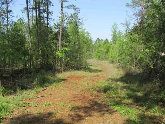 $195,000 | 0 South S Cr, Laneville, TX 75667