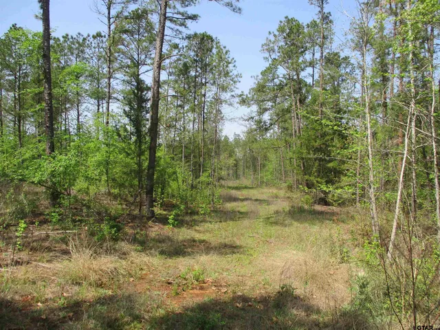 $195,000 | 0 South S Cr, Laneville, TX 75667