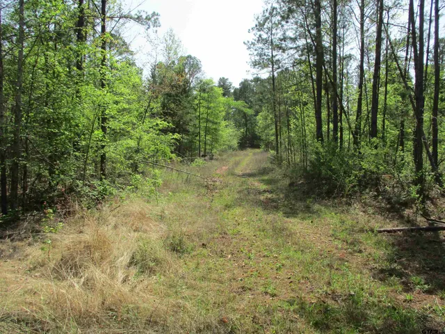 $195,000 | 0 South S Cr, Laneville, TX 75667