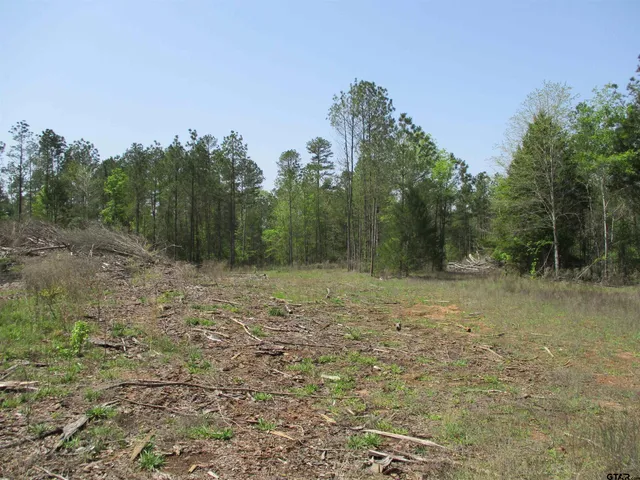 $195,000 | 0 South S Cr, Laneville, TX 75667