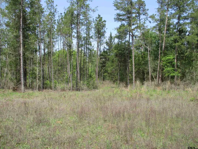 $195,000 | 0 South S Cr, Laneville, TX 75667