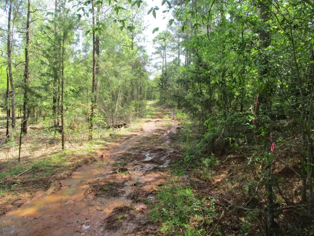 $195,000 | 0 South S Cr, Laneville, TX 75667