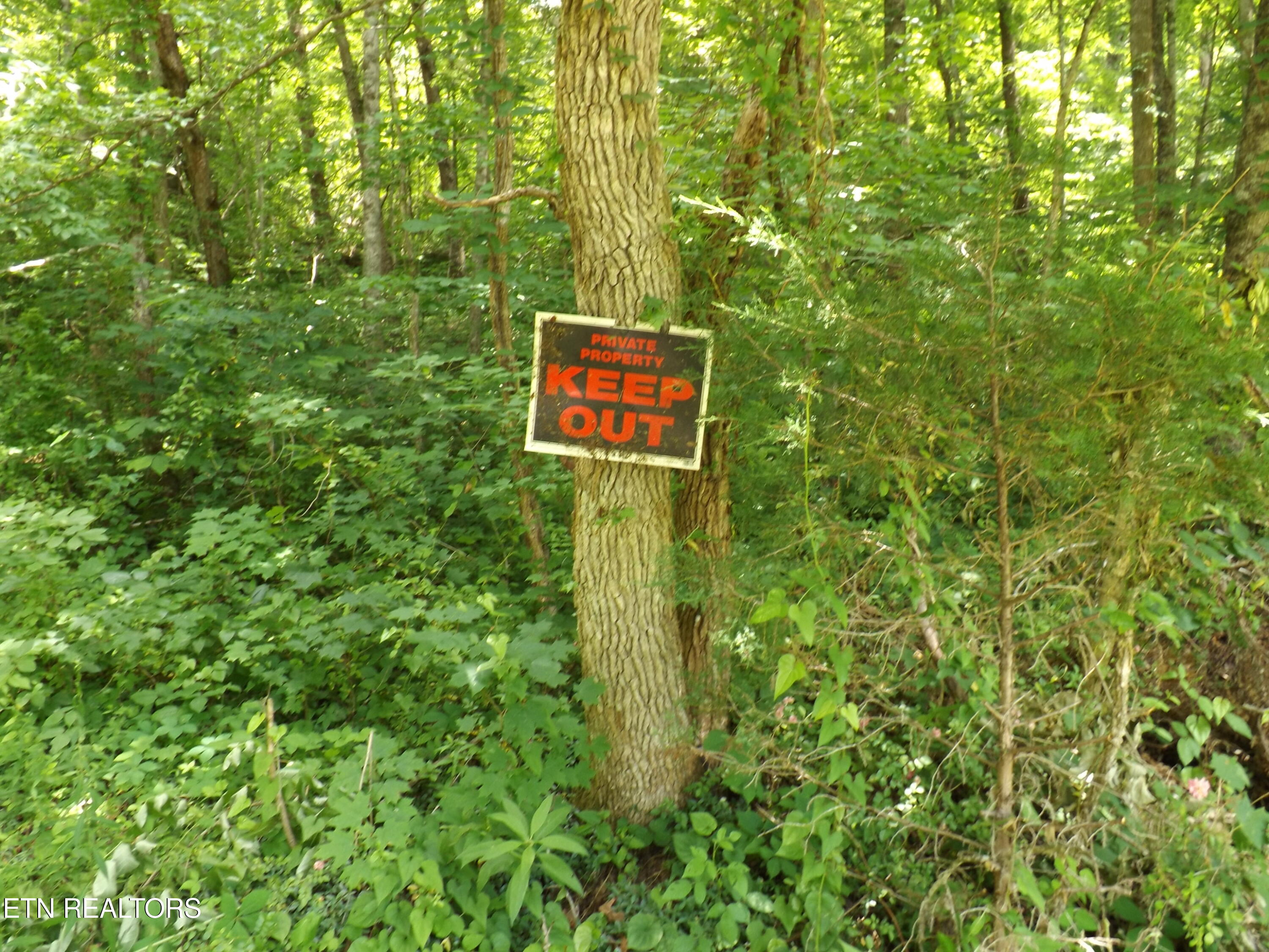 Tbd Snake Hollow Road Sneedville, TN 37869 - Photo 7 of 7 DSCF4323