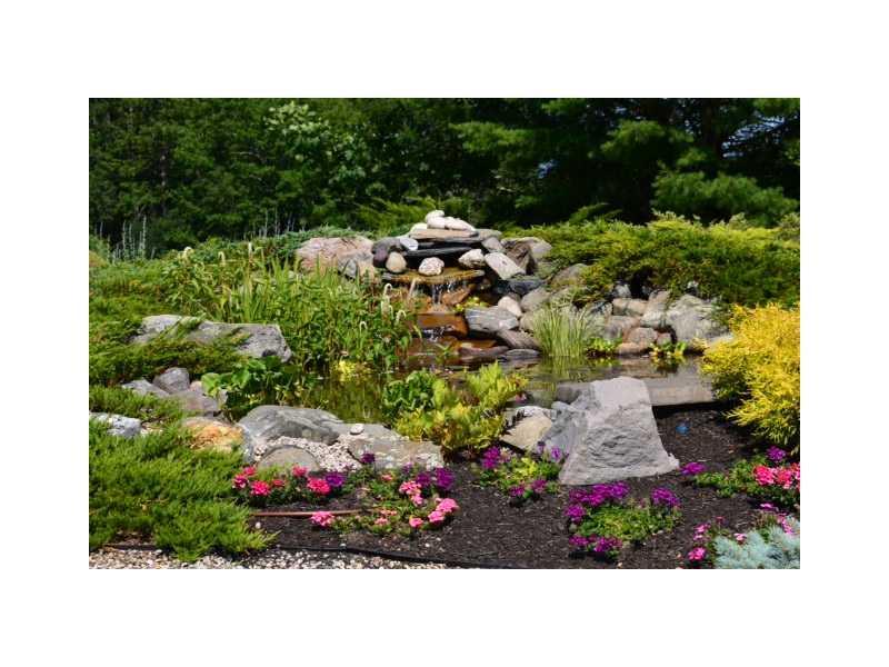 336 Ocean House Road Cape Elizabeth, ME 04107 - Photo 29 of 34 Yard/Garden.