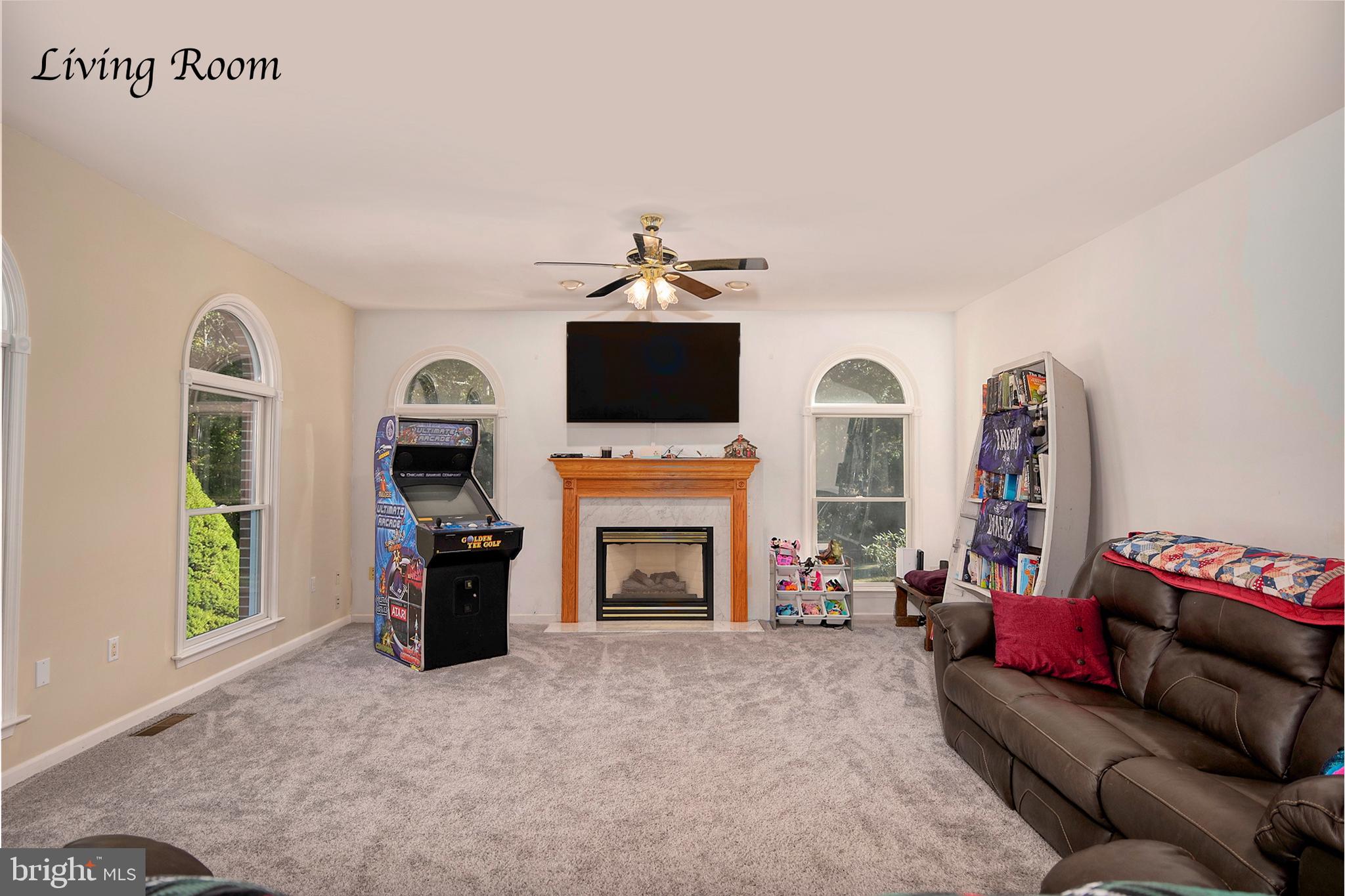 699 Shady Beach Road North East, MD 21901 - Photo 8 of 51 LIVING ROOM