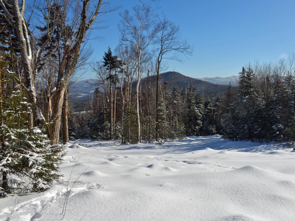 11 Lincoln Ridge Warren, VT 05674 - Photo 1 of 36 Gallery Image 1