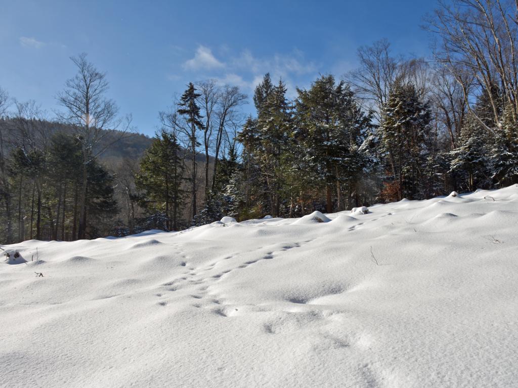 11 Lincoln Ridge Warren, VT 05674 - Photo 14 of 36 Gallery Image 14