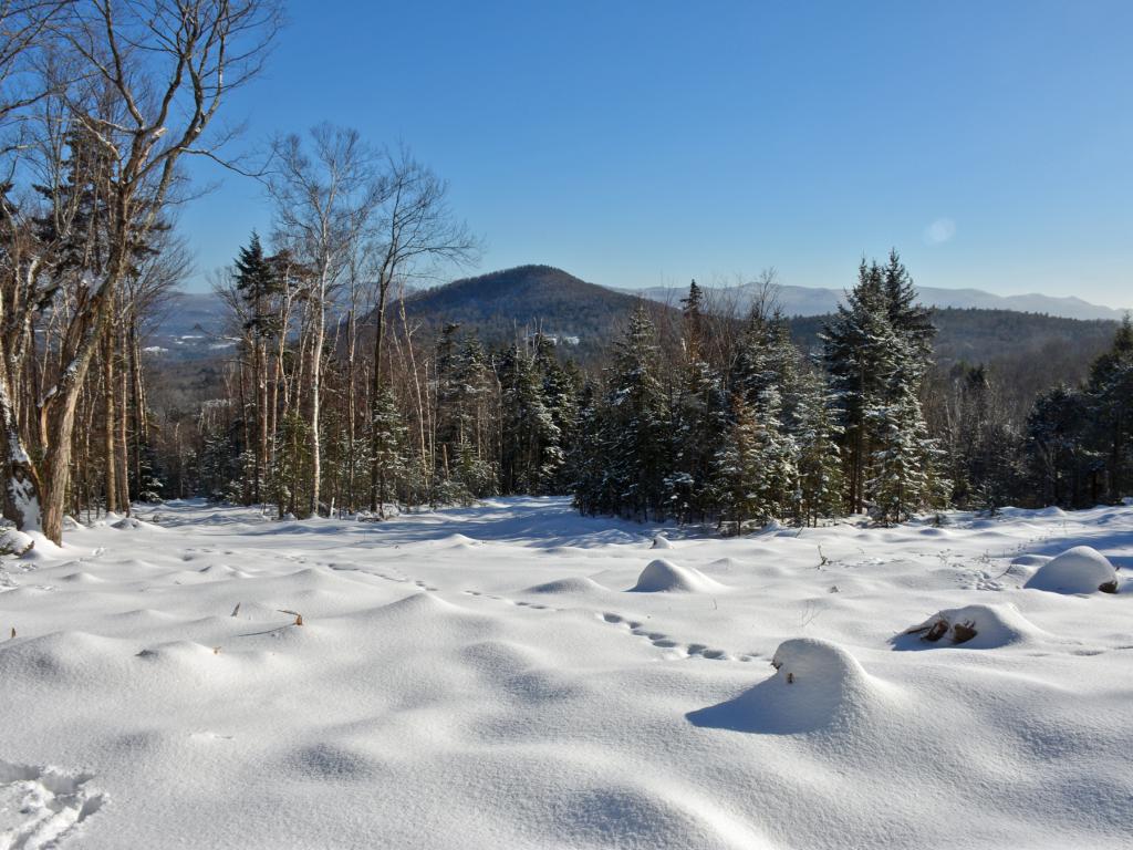 11 Lincoln Ridge Warren, VT 05674 - Photo 3 of 36 Gallery Image 3