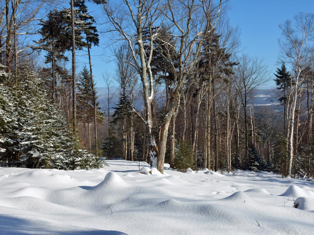 11 Lincoln Ridge Warren, VT 05674 - Photo 22 of 36 Gallery Image 22