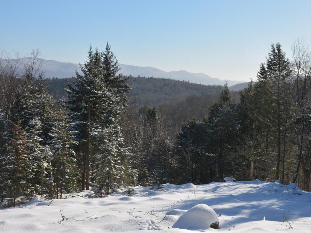 11 Lincoln Ridge Warren, VT 05674 - Photo 5 of 36 Gallery Image 5