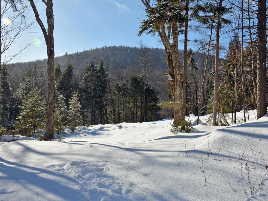 11 Lincoln Ridge Warren, VT 05674 - Photo 8 of 36 Gallery Image 8