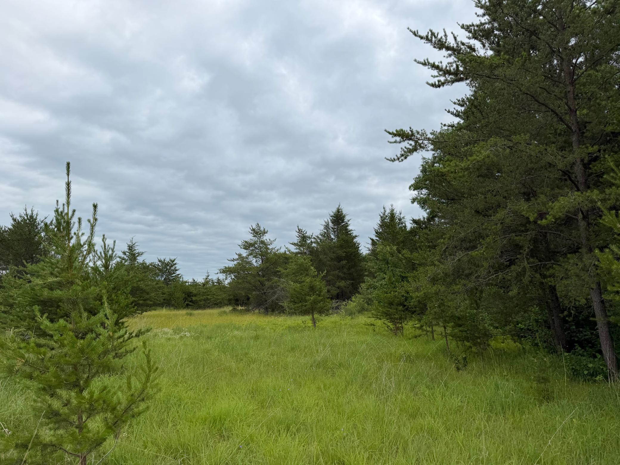 Tbd 350th Street Sebeka, MN 56477 - Photo 79 of 100