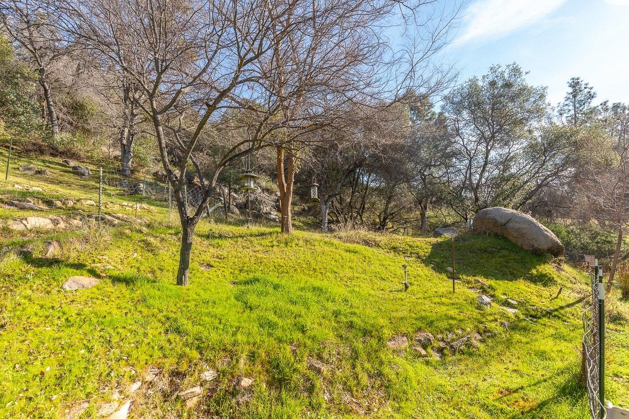 3483 Windy Hollow Road Mariposa, CA 95338 - Photo 49 of 56 Gallery Image 49
