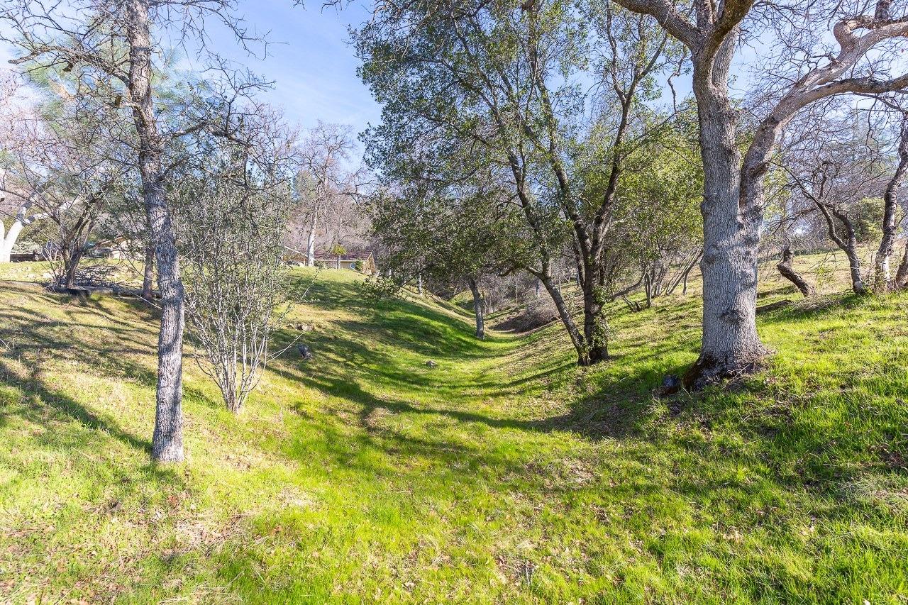 3483 Windy Hollow Road Mariposa, CA 95338 - Photo 50 of 56 Gallery Image 50