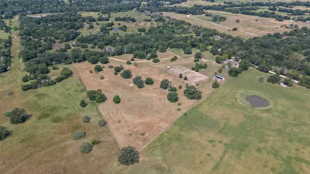 a potted plant sitting in front of a house