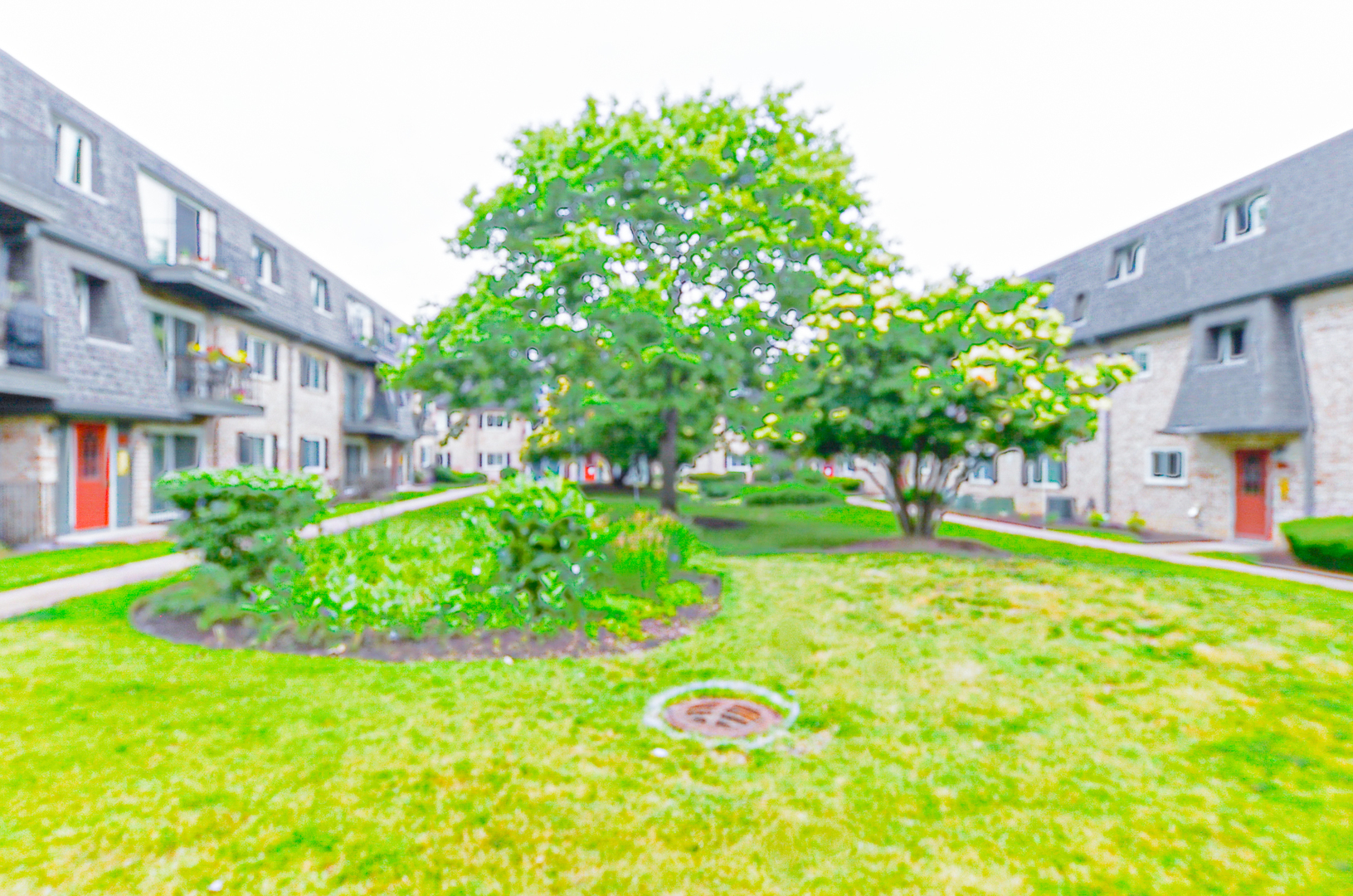 916 South Plum Grove Road, Unit 223 Palatine, IL 60067 - Photo 2 of 14