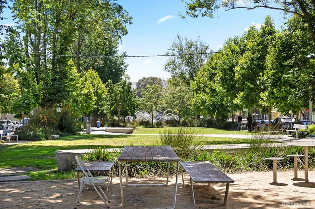 a view of a park with lounge chairs