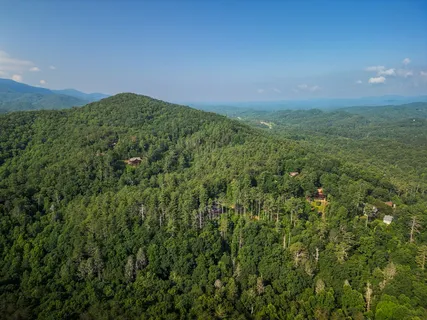 $1,049,000 | 71 Laurel Creek Road, Blue Ridge, GA 30513