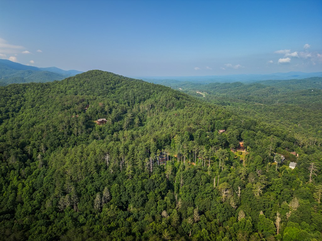 71 Laurel Creek Road Blue Ridge, GA 30513 - Photo 42 of 42