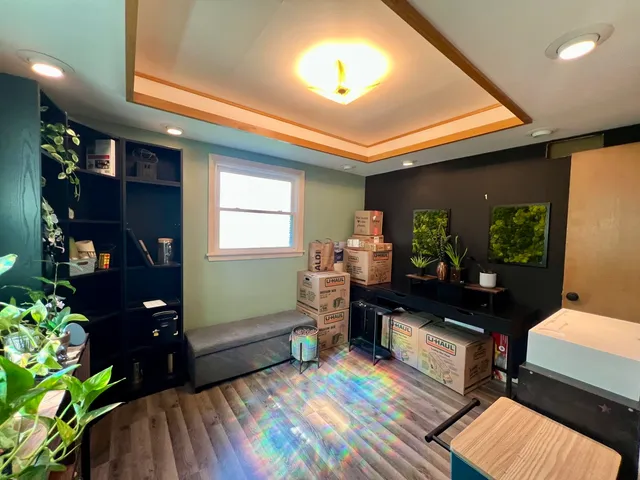 a living room with furniture and a potted plant