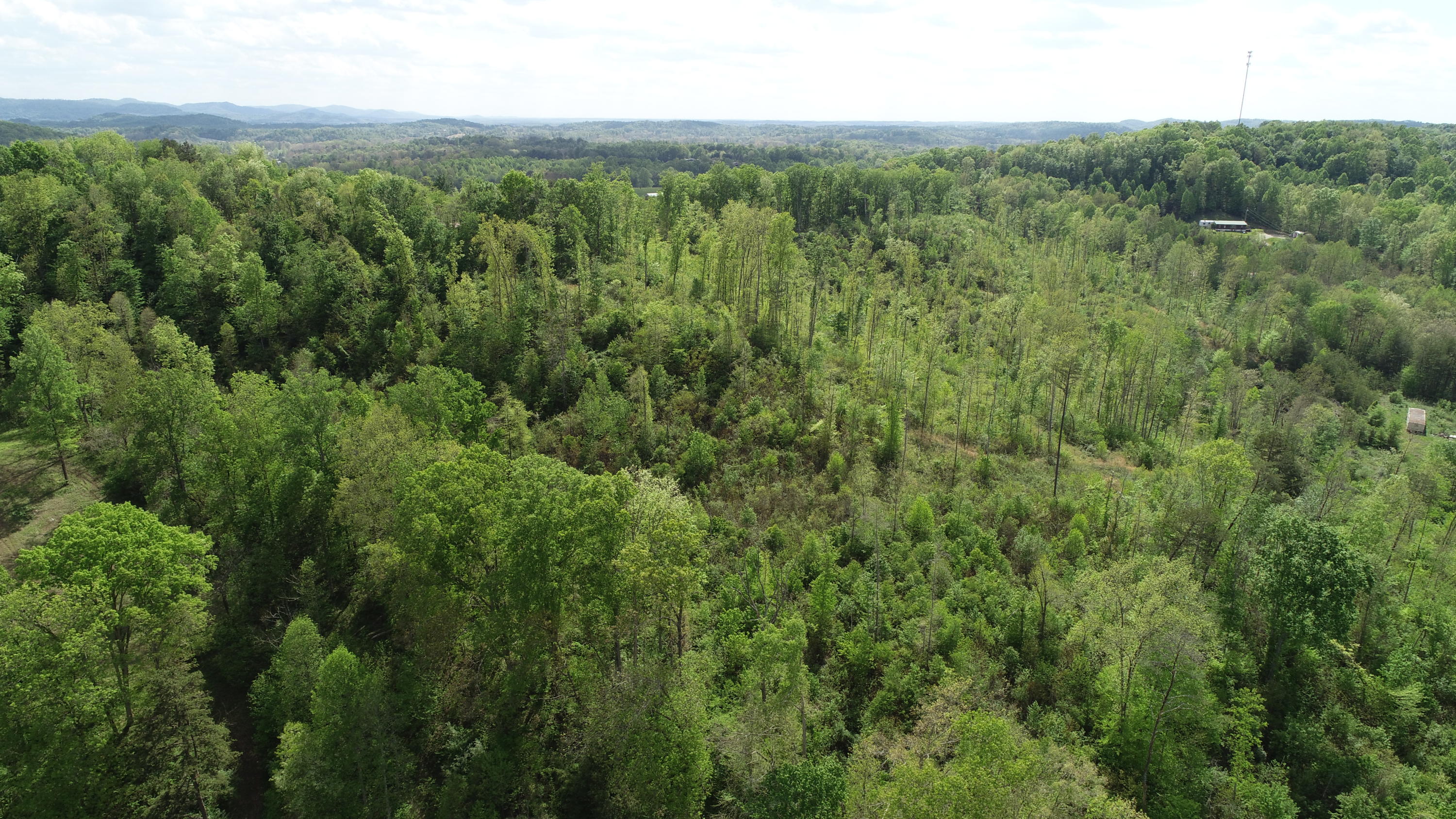 395 Ainer Jackson Road Corbin, KY 40701 - Photo 18 of 18 DJI_0269