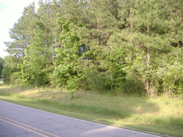 5889 Hoyt Road Middlesex, NC 27557 - Photo 5 of 8 Additional Photo