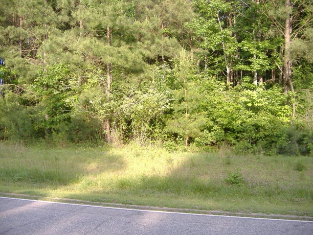5889 Hoyt Road Middlesex, NC 27557 - Photo 6 of 8 Additional Photo