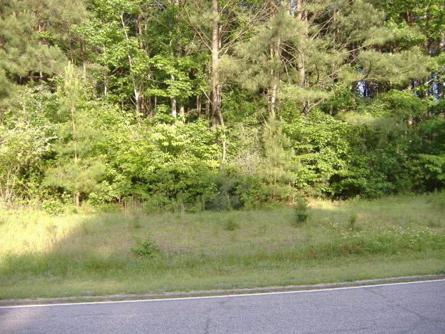 5889 Hoyt Road Middlesex, NC 27557 - Photo 7 of 8 Additional Photo