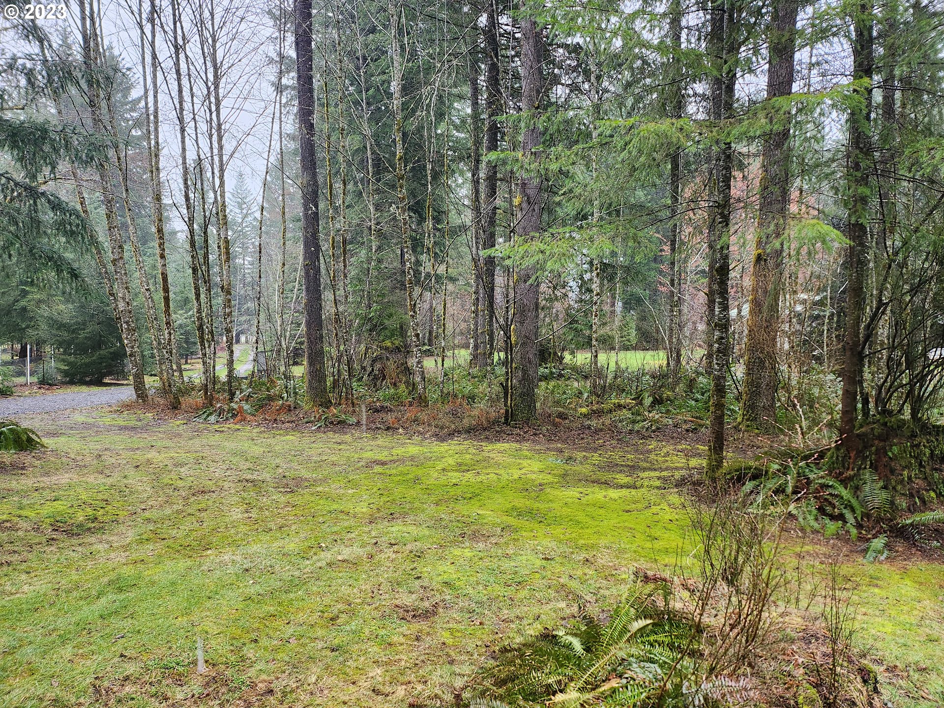 188 Aultman Road Ariel, WA 98603 - Photo 3 of 12 Gallery Image 3