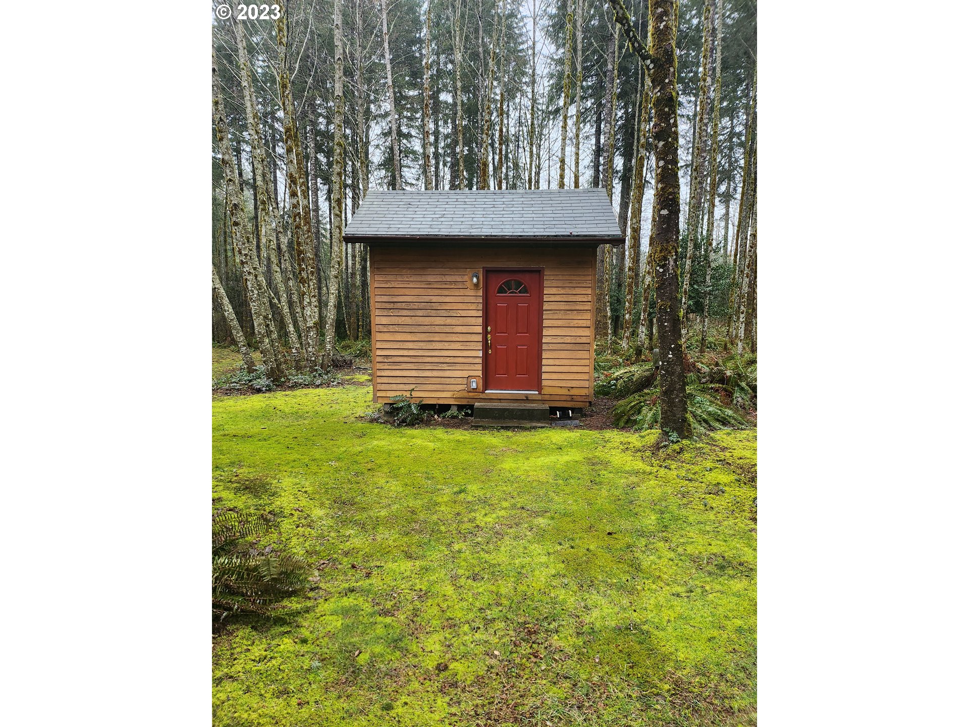 188 Aultman Road Ariel, WA 98603 - Photo 4 of 12 Gallery Image 4