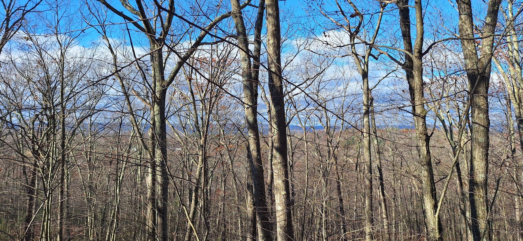 Lot 3 Mountain Road Holyoke, MA 01040 - Photo 6 of 12 Gallery Image 6