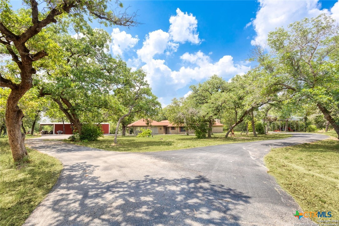 a view of a yard with of trees