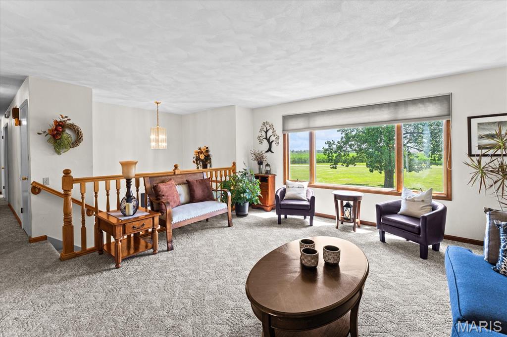 13 Timber Oak Drive O'Fallon, IL 62269 - Photo 8 of 54