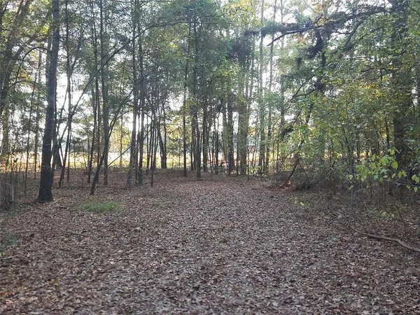 a view of outdoor space and tree