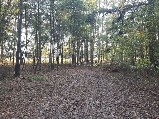 a view of outdoor space and tree