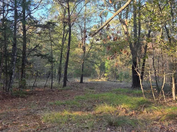 a view of backyard with green space