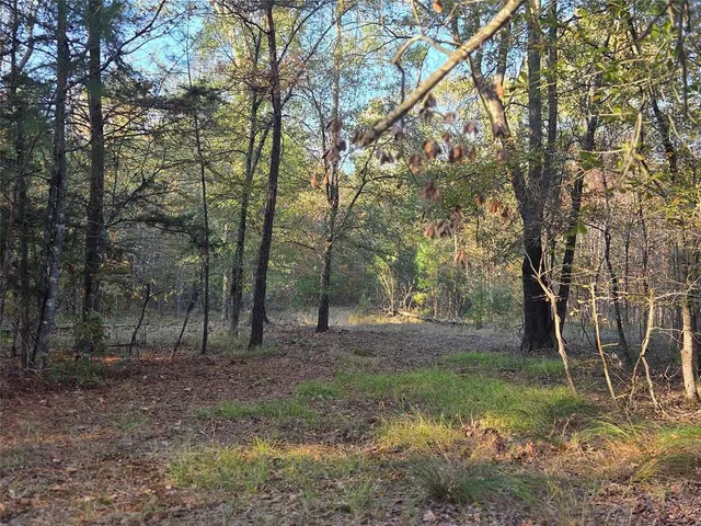 a view of backyard with green space