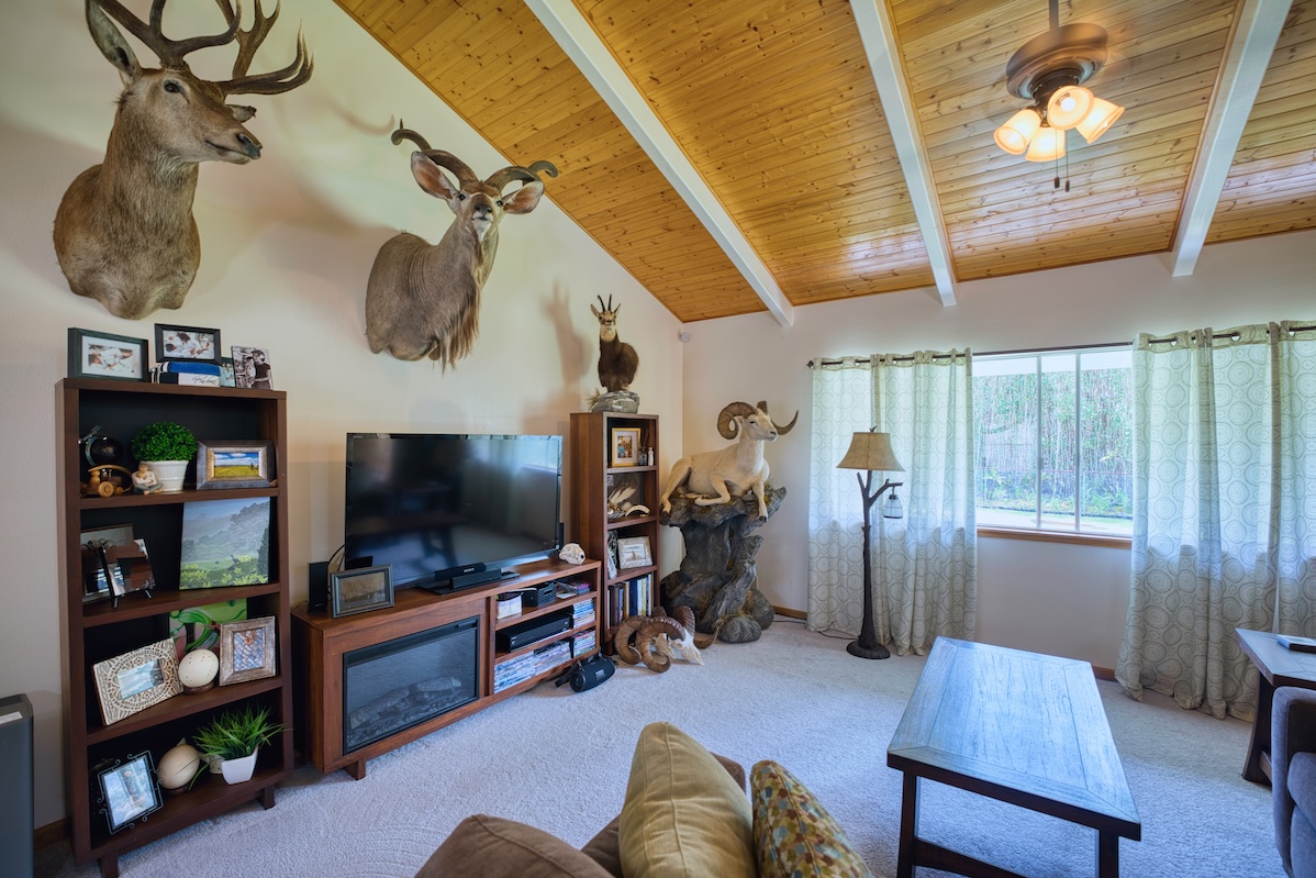 18-8023 North Kulani Road Mountain View, HI 96771 - Photo 18 of 29