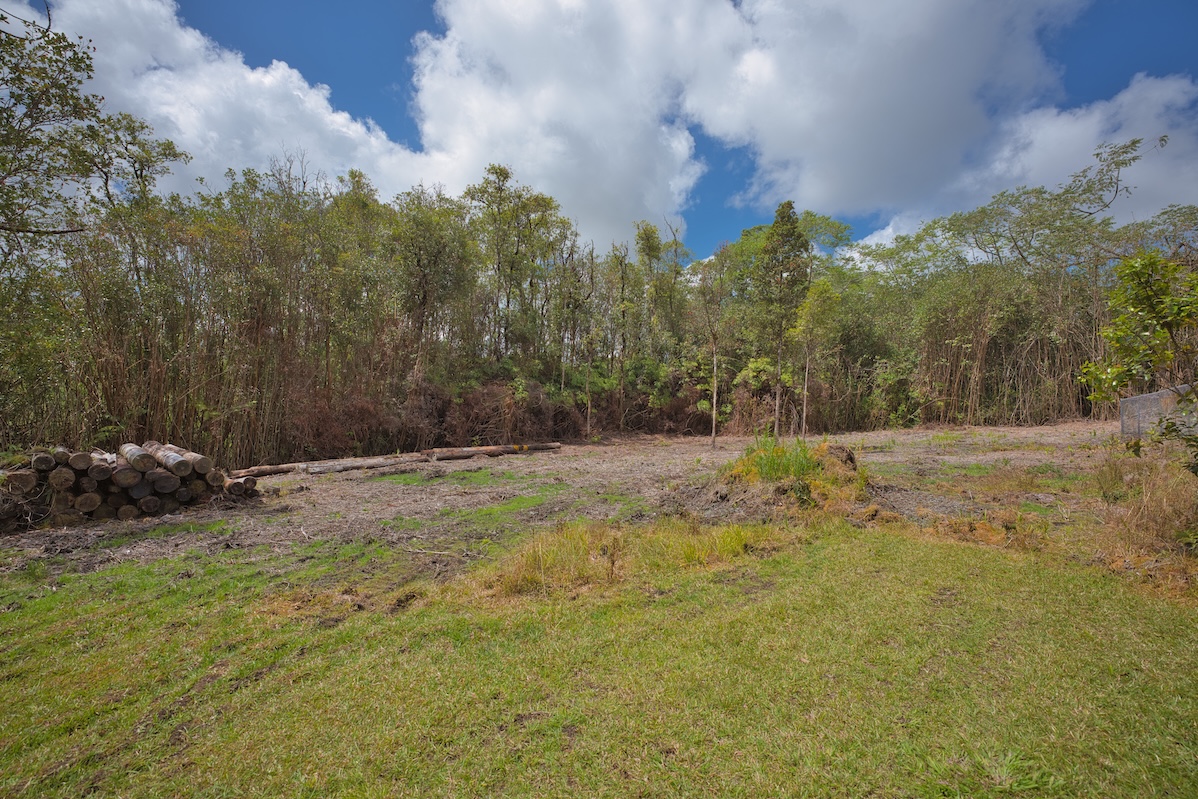 18-8023 North Kulani Road Mountain View, HI 96771 - Photo 3 of 29