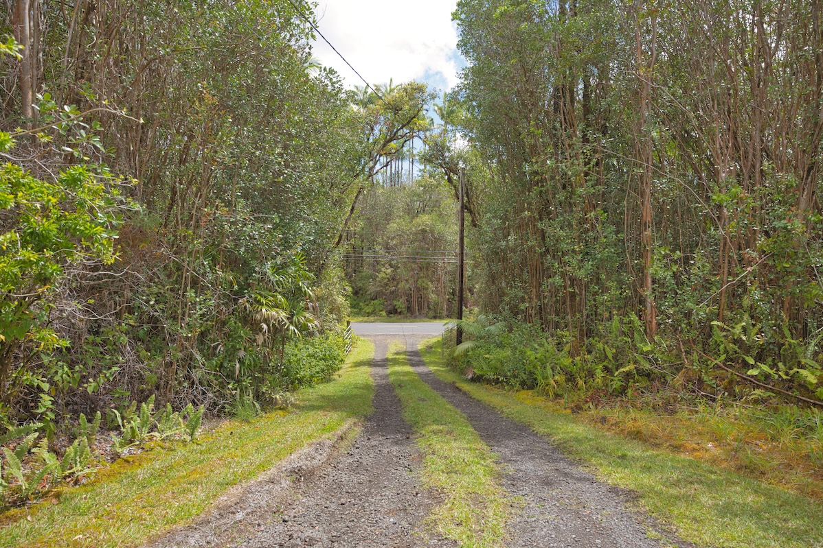18-8023 North Kulani Road Mountain View, HI 96771 - Photo 4 of 29