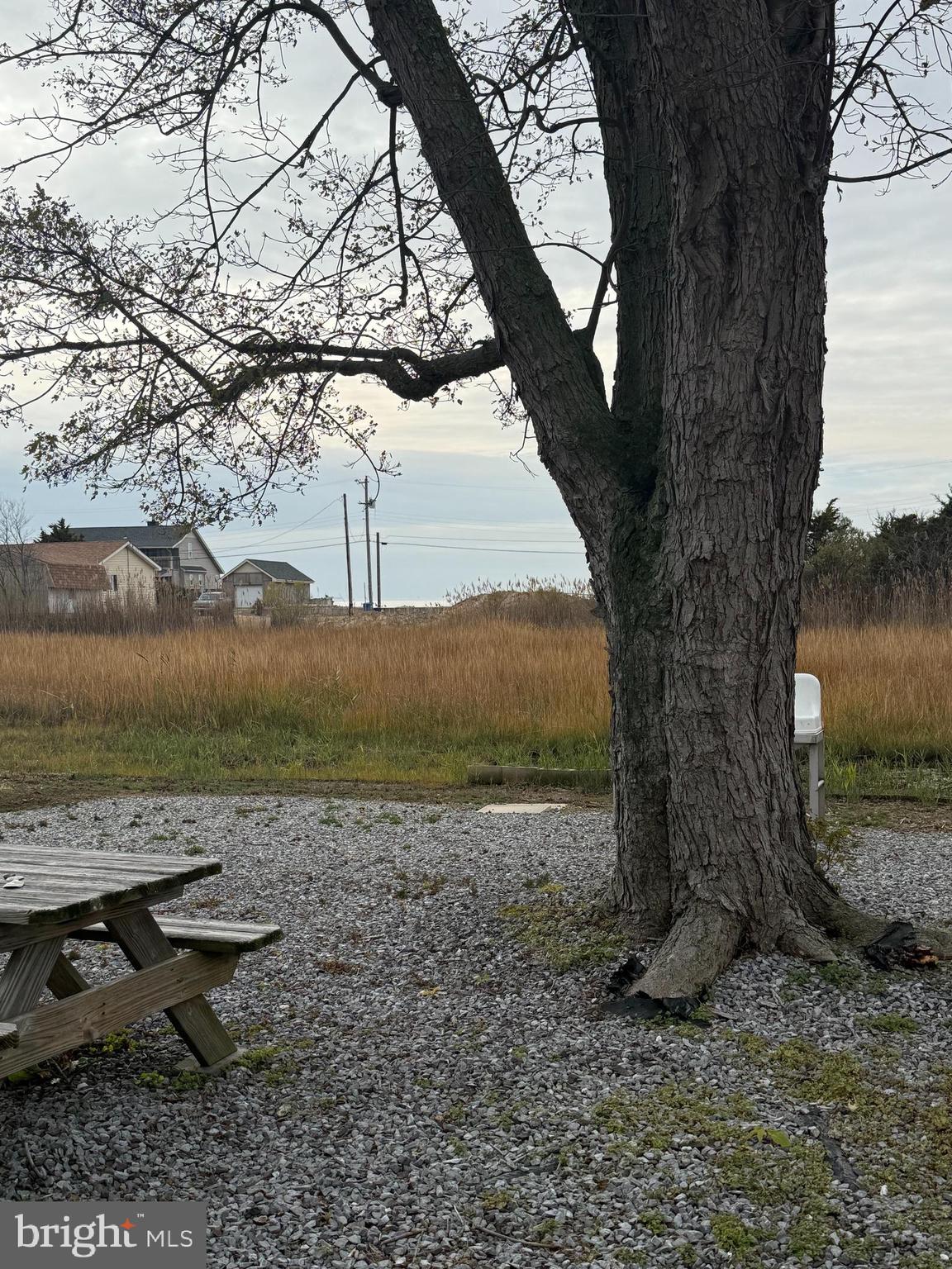 102 Garrison Avenue Fortescue, NJ 08321 - Photo 20 of 20 a view of a yard with an outdoor space