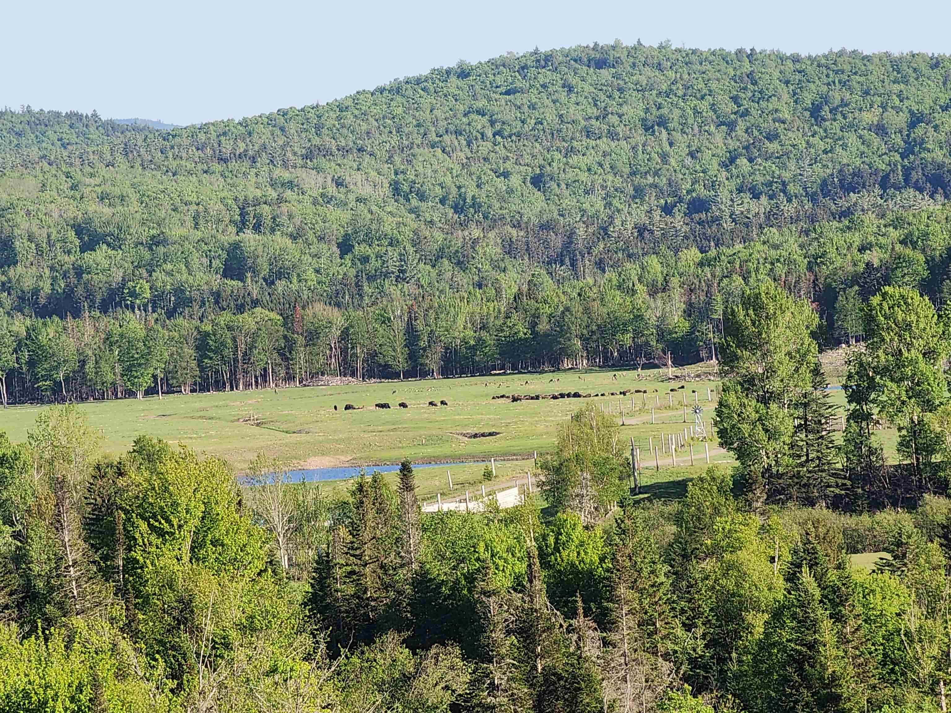 22 Mackenna Way Errol, NH 03579 - Photo 41 of 60
