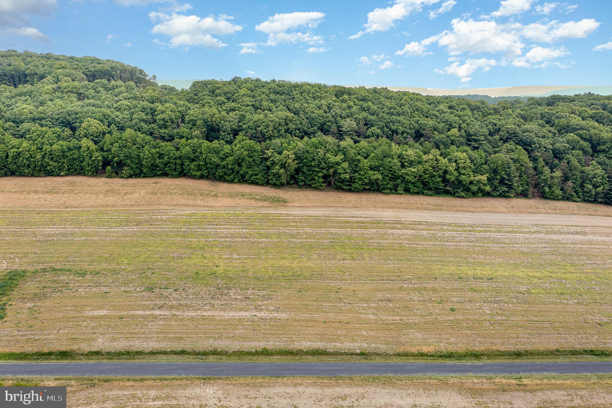 0 Kline Hollow Road Liverpool, PA 17045 - Photo 1 of 7 Gallery Image 1