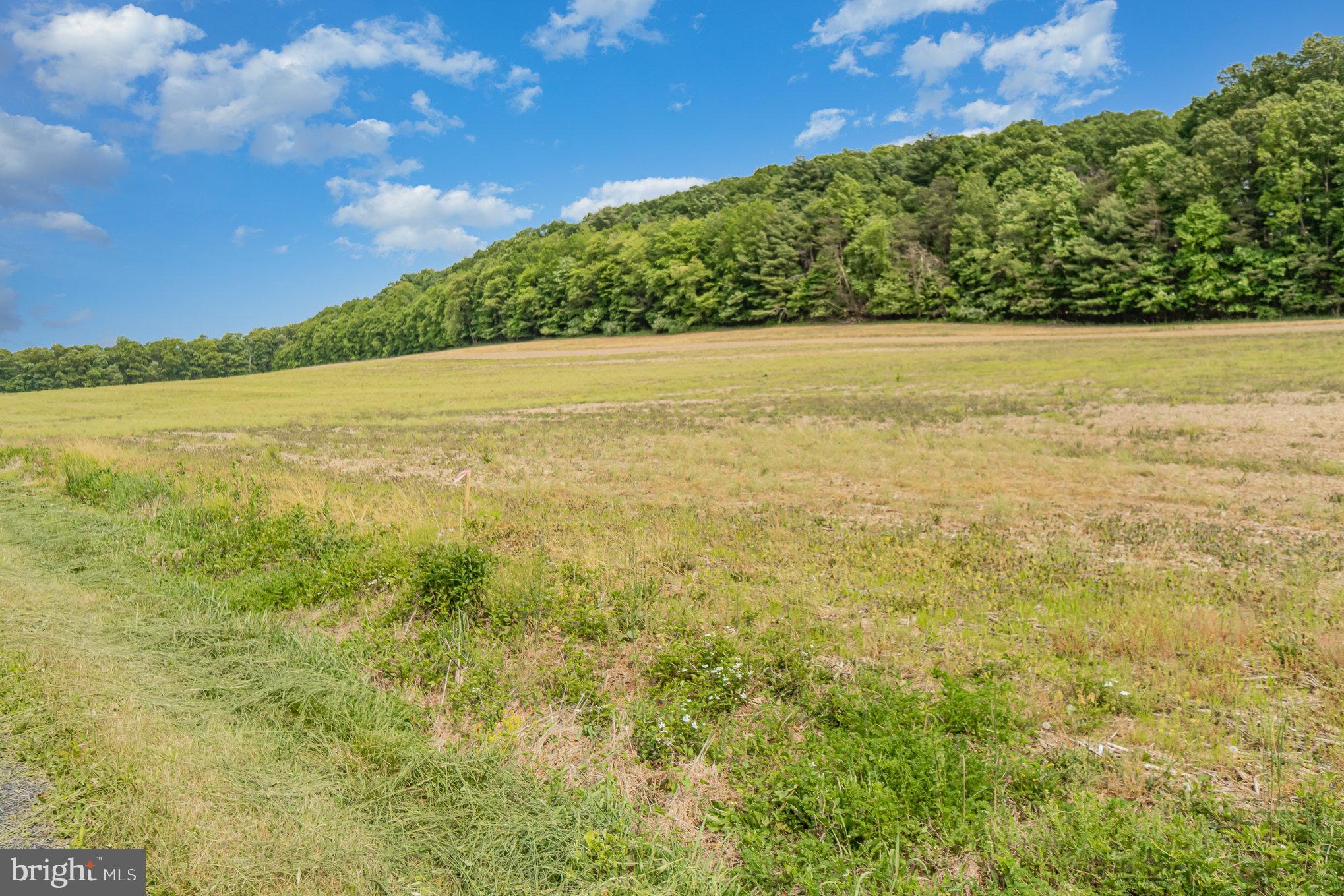 0 Kline Hollow Road Liverpool, PA 17045 - Photo 3 of 7 Gallery Image 3
