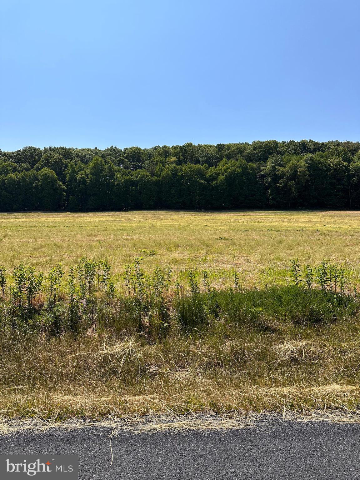 0 Kline Hollow Road Liverpool, PA 17045 - Photo 4 of 7 Gallery Image 4