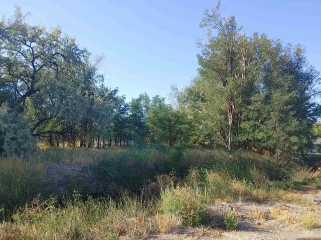 $65,000 | Tbd Tbd 1st And Main, Hagerman, ID 83332