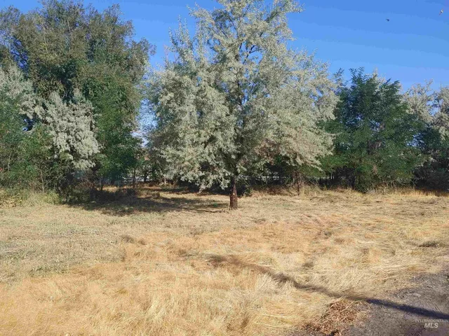 $65,000 | Tbd Tbd 1st And Main, Hagerman, ID 83332