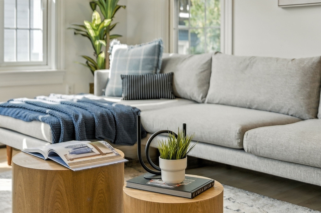 11 Dana Road Newton, MA 02465 - Photo 5 of 35 a living room with a couch and a potted plant