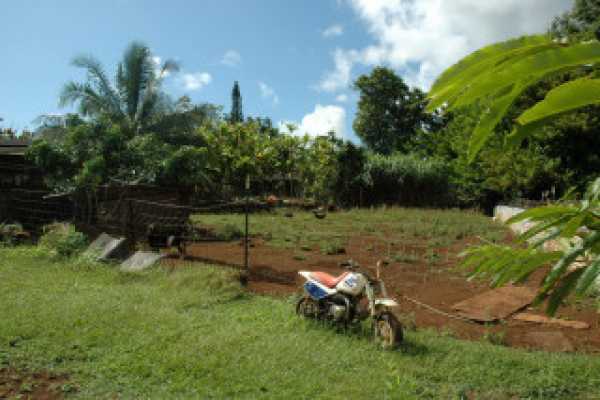 6301 Opaekaa Road Kapaa, HI 96746 - Photo 4 of 12 Gallery Image 4